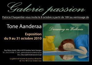 Tone Aanderaas First Solo Exhibition In Belgium 